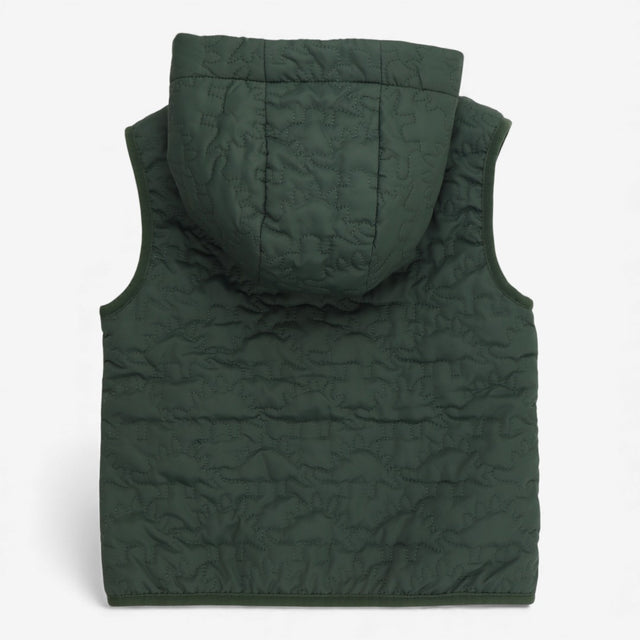Green dinosaur gilet, stripe lined
