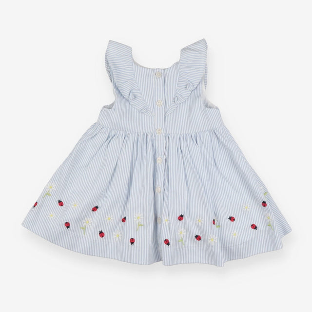 Dress Heirloom blue white stripe lined daisys lady
