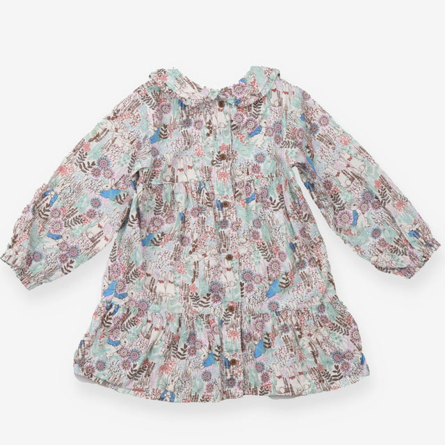 Dress button through Peter Rabbit LS collar