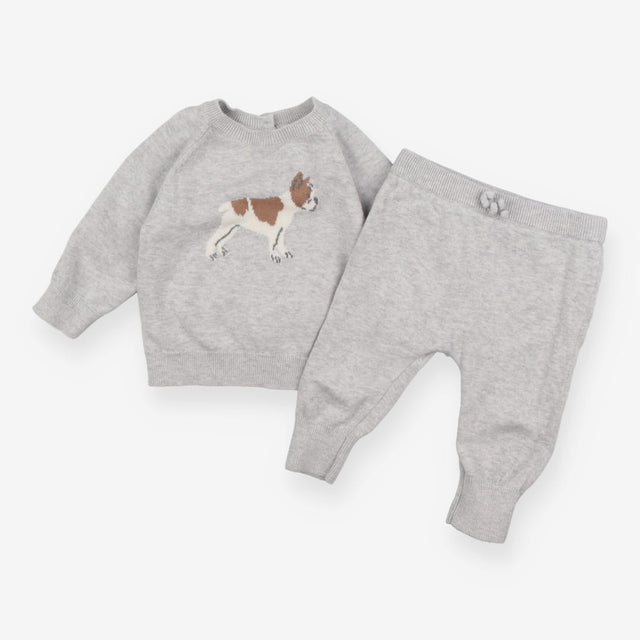Grey Bulldog Outfit