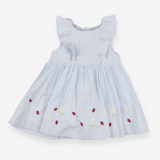 Dress Heirloom blue white stripe lined daisys lady