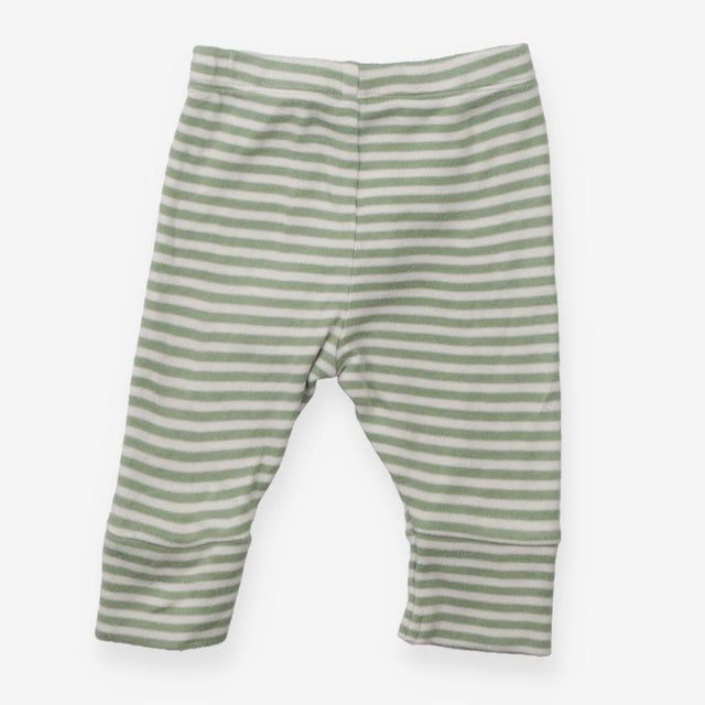Leggings green striped