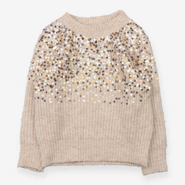 Knit sweater sparkle sequins
