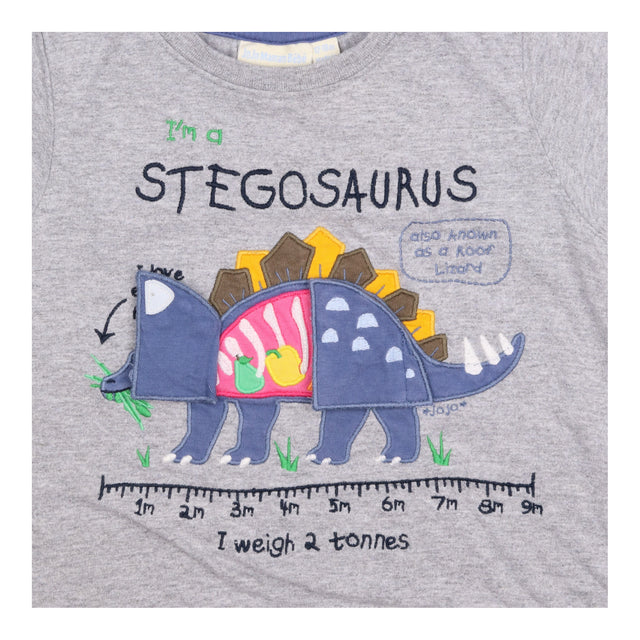 Grey I'm A Stegosaurus T-shirt