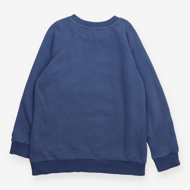Blue sweater with dragon and castle