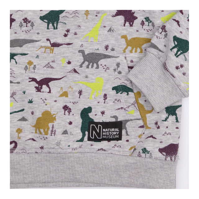 Natural History Dino Hoodie