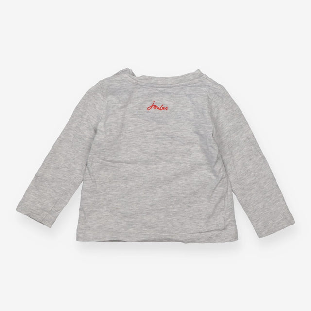 Trikeceratops Long Sleeve Grey T-shirt