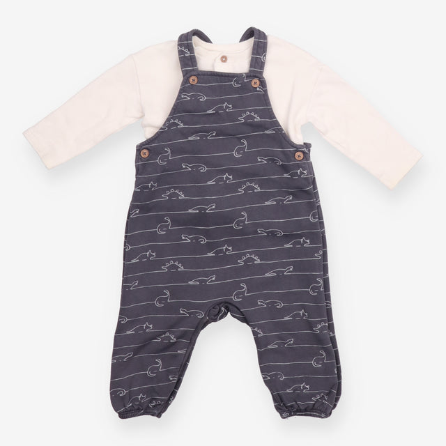 Grey Dinosaur Dungarees with Long Sleeve