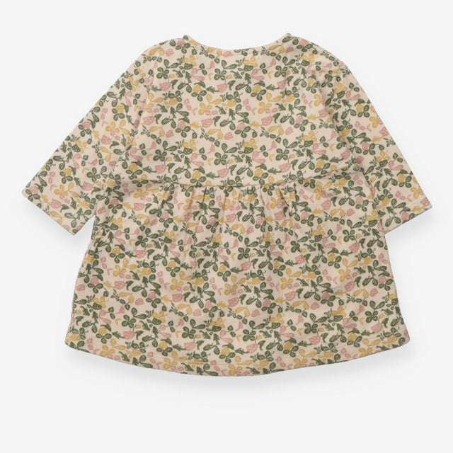 Dress Long Sleeve Cream Autumn Leaves and Birds