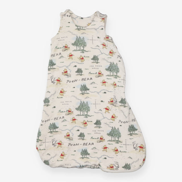Winnie The Pooh Sleeping Bag