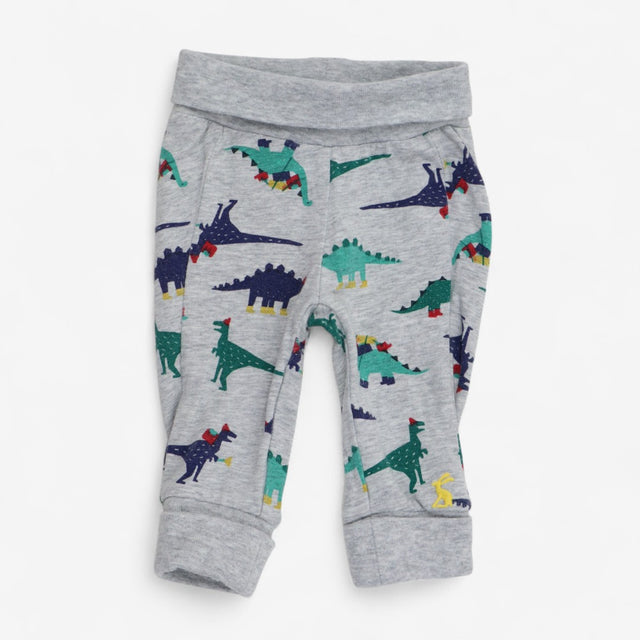 Top & Joggers Winter Dinosaurs Print 2pcs