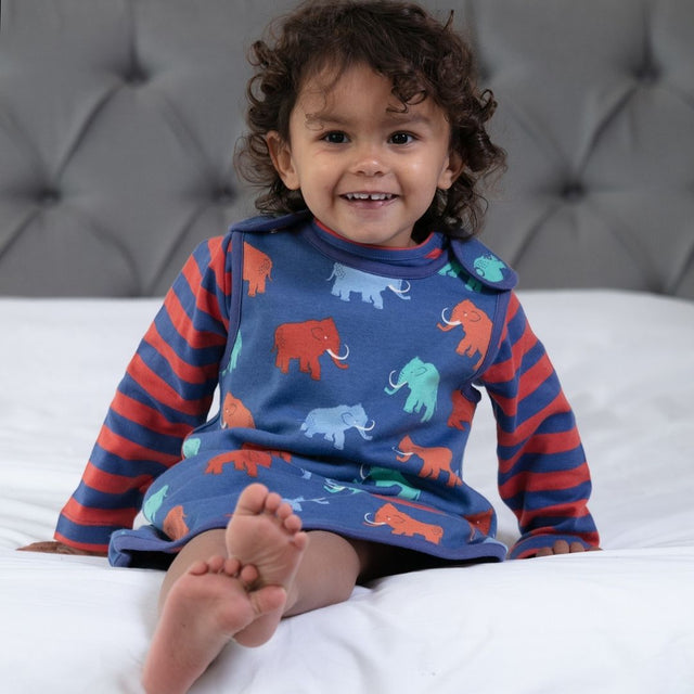 Mammoth reversible dress