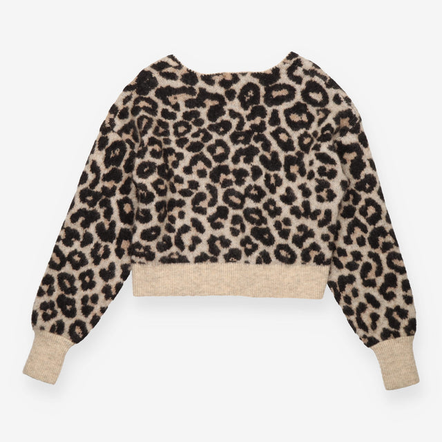 Jumper Leopard Print Mohair Wool Blend V Neck