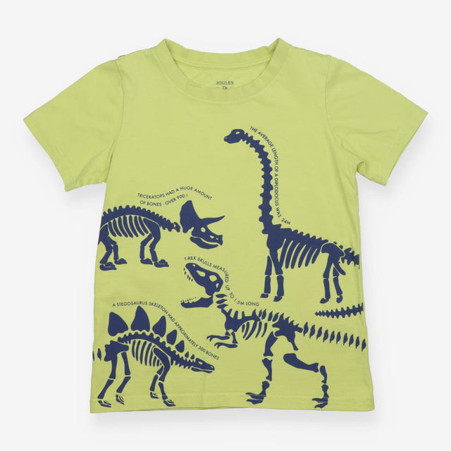 Lime Green T-shirt with Dinosaur Facts