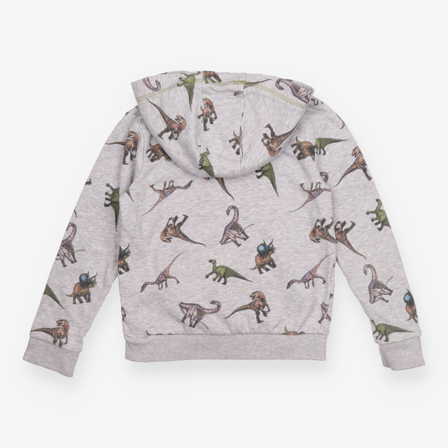 Hoodie Grey Natural History Museum Dinosaurs