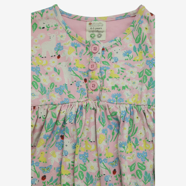 Dress Springtime Pink Dress
