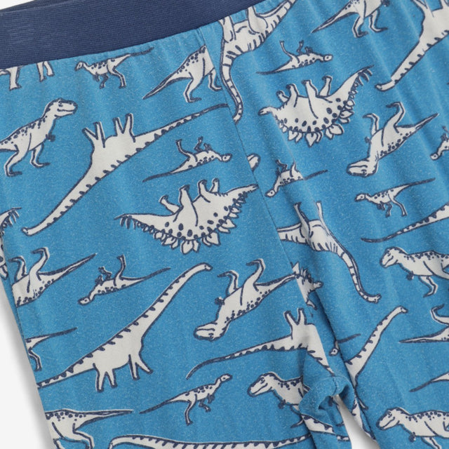 Pyjamas Blue Dinosaur