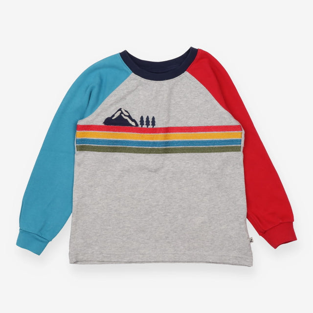 Tee Shirt Grey with One Blue and One Red Sleeve