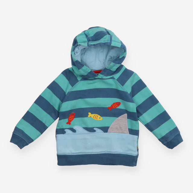 Green and Blue Striped Fish Hoodie