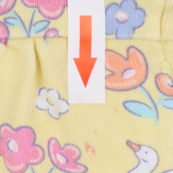 Yellow Ducks and Flowers Dress
