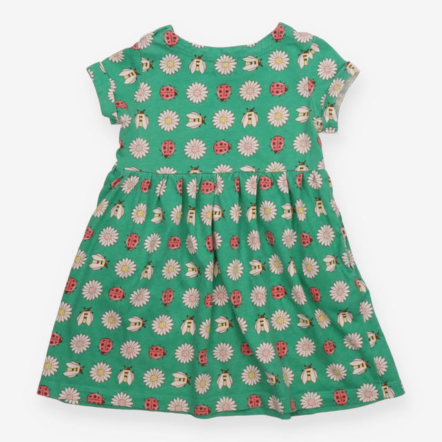 Dress green ladybird and daisy