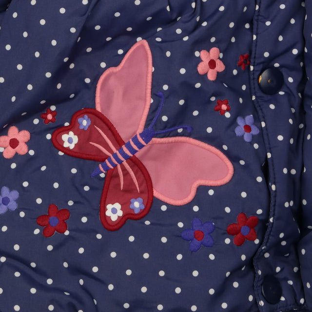 Coat blue spots butterflies
