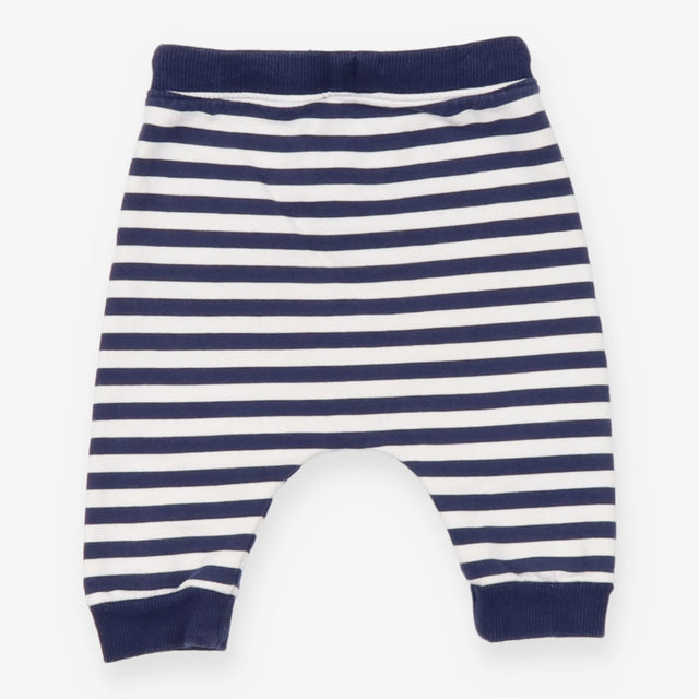 Triceratops Stripe Joggers