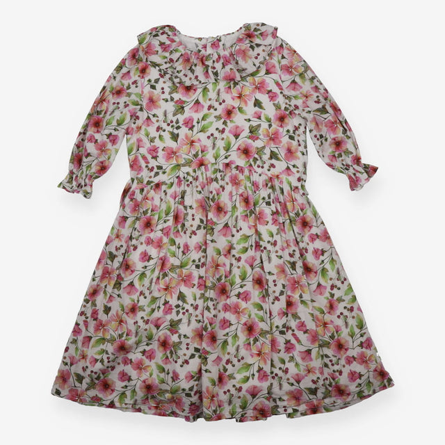 Dress long sleeve floral berries