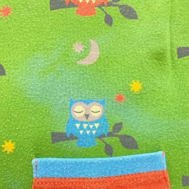 Reversible Green Owl Stripe Dress