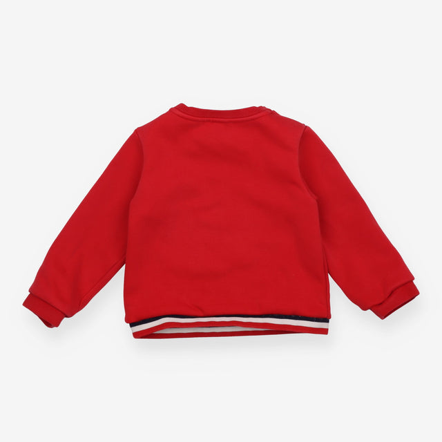 Red jersey sweater sausage dog