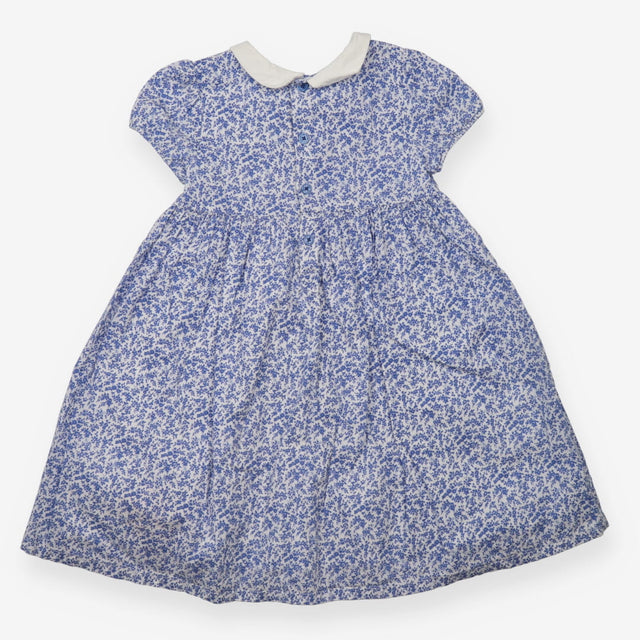 Collared Dress with Blue Floral