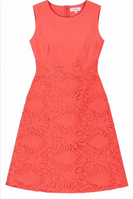 Dress Coral Lace Sleeveless Fitted Occasion
