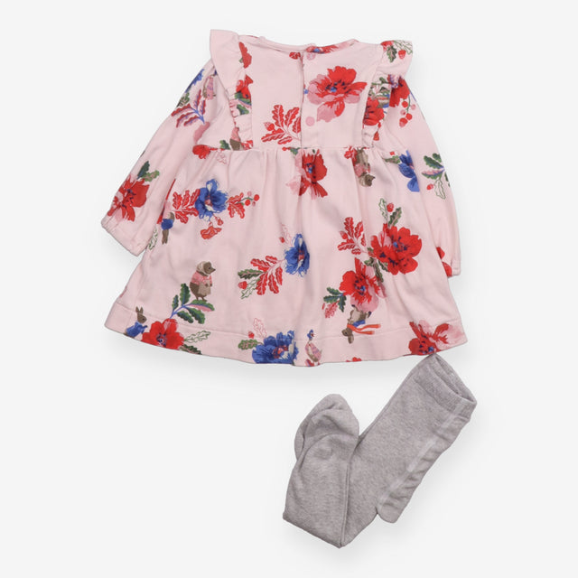 Dress Long Sleeve Pink Peter Rabbit and Friends wi