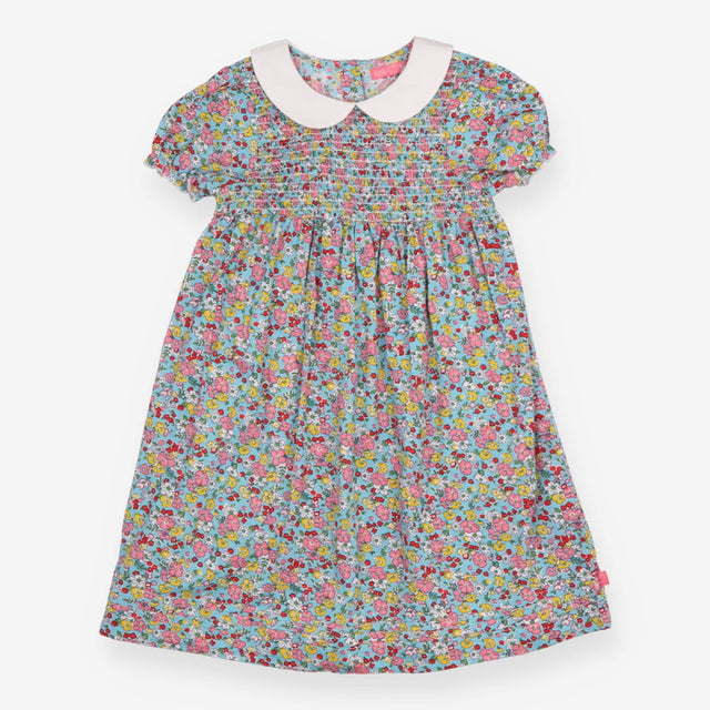 Collared Woven Dress Blue Ditsy Floral Pink