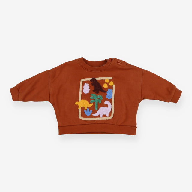 Sweatshirt Brown Dino Shapes