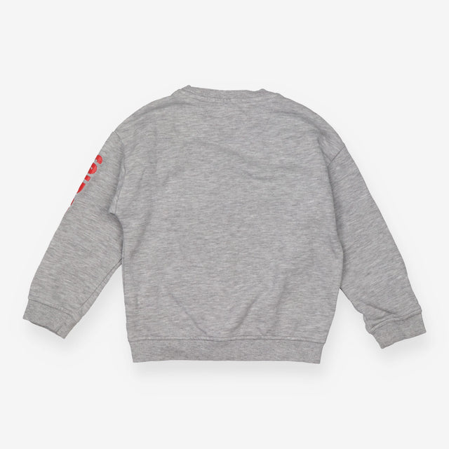 Sweatshirt grey spiderman