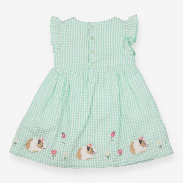 Green gingham guinea pig dress