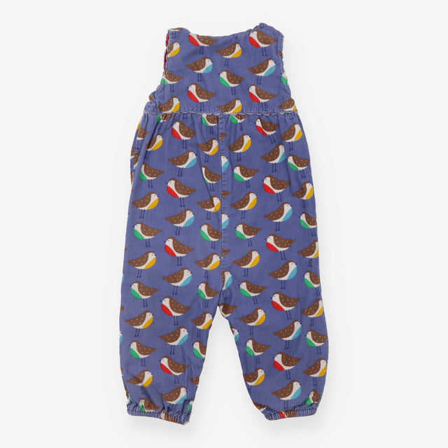 Dungarees Cord Blue with Colourful Robins