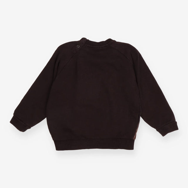 Sweatshirt brown bear