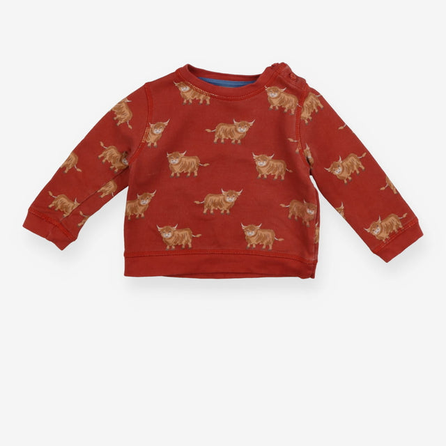 Rust jersey highland cow sweater
