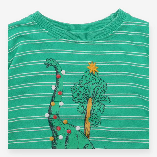 Green Striped Dinosaur Long Sleeve