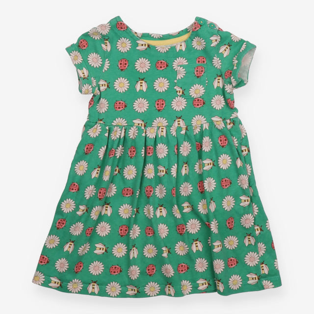 Dress green ladybird and daisy