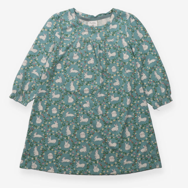 Nighty blue rabbit flowers