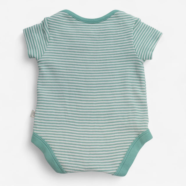 Bodysuit teal stripe chicken