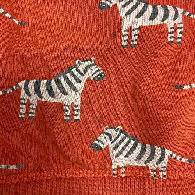 Rust Zebra Print Jersey Sweater