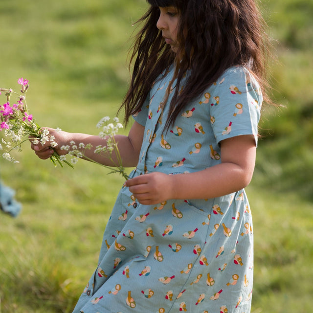 Rainbow Birds Button Through Short Sleeve Dress