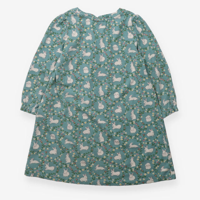 Nighty blue rabbit flowers