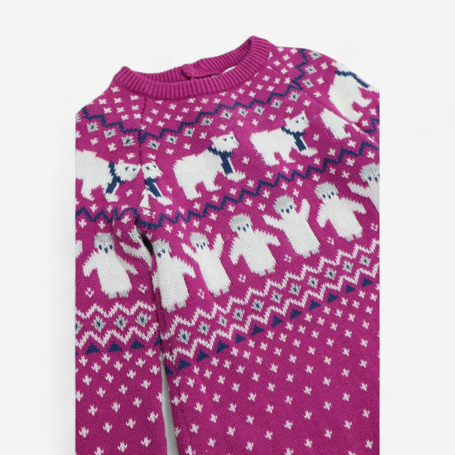 Purple Knit Dress with Polar Bears