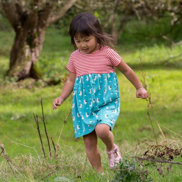 Summer Seagull Easy Peasy Dress