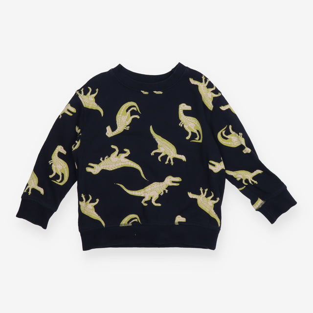 Sweatshirt navy green dinos